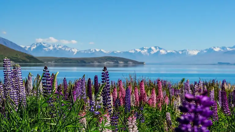 Aoraki/Mt Cook Alpine Views