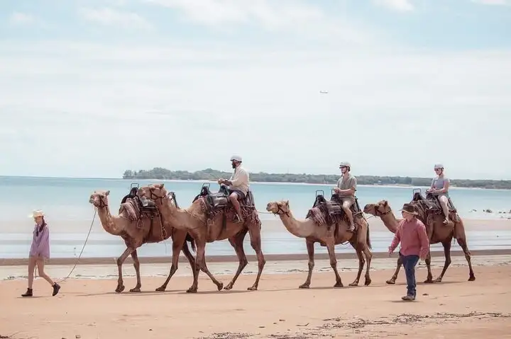 Mindil Beach Day Beach Camel Ride