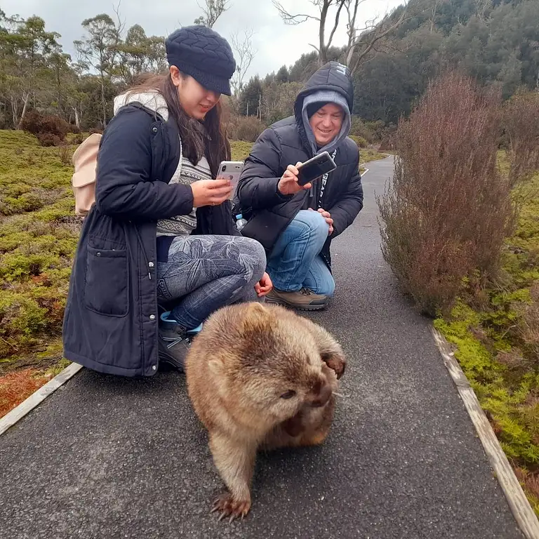 Hobart to Cradle Mountain