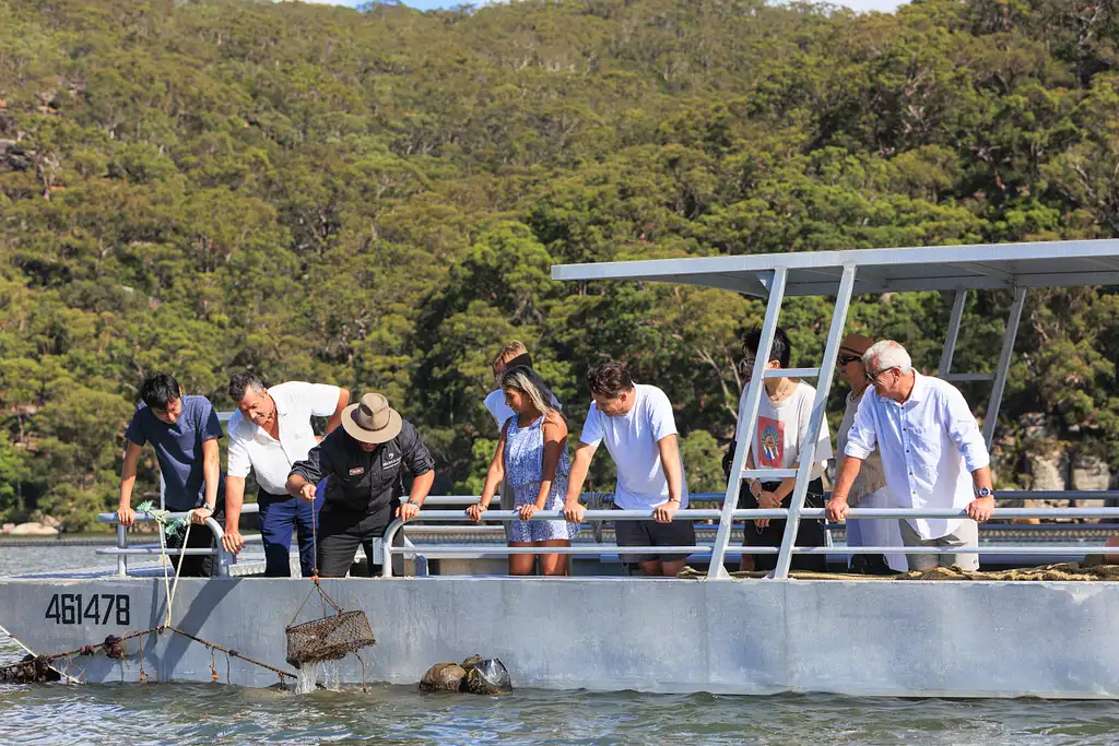 Oyster & Pearl Lovers Complete Immersion | Option with local transfer
