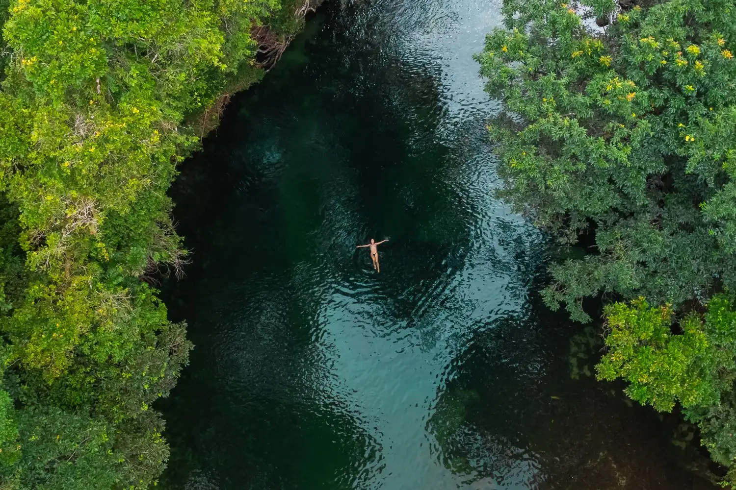 Barron River Rafting Adventure Cairns β White Water Thrill Experience