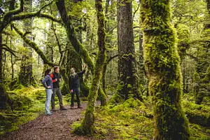 Milford Sound Day Tour | Coach, Cruise & Walk | From Te Anau