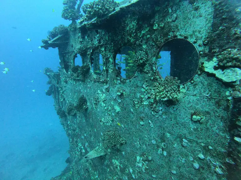 Wreck & Reef Dive Tour Special