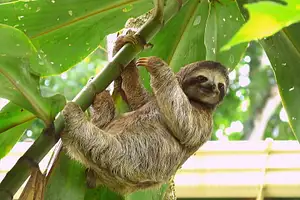 12 Day Costa Rica Classic San Jose Tour | One Life Adventures