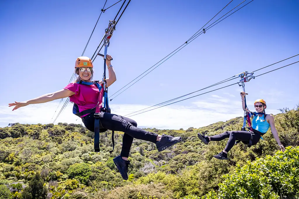 Zip, Wine and Dine - Waiheke Island package, Auckland ferry included