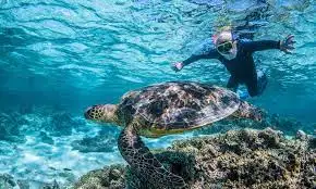 Tours to Exmouth and Ningaloo