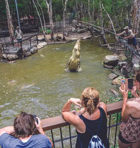Hartley's Crocodile Adventures Entry Deal