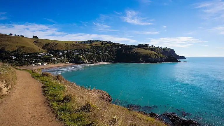 Christchurch Half-Day Guided Crater Rim Walk Discount