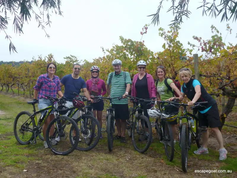 Hills, Vines and Wines by mountain bike adventure deals