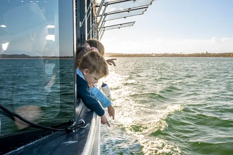 Coffin Bay tours