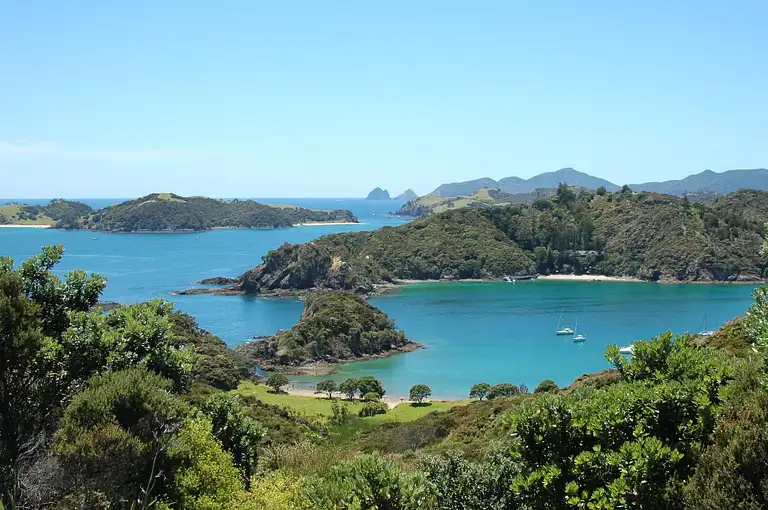 Bay of Islands Bus Pass Discount