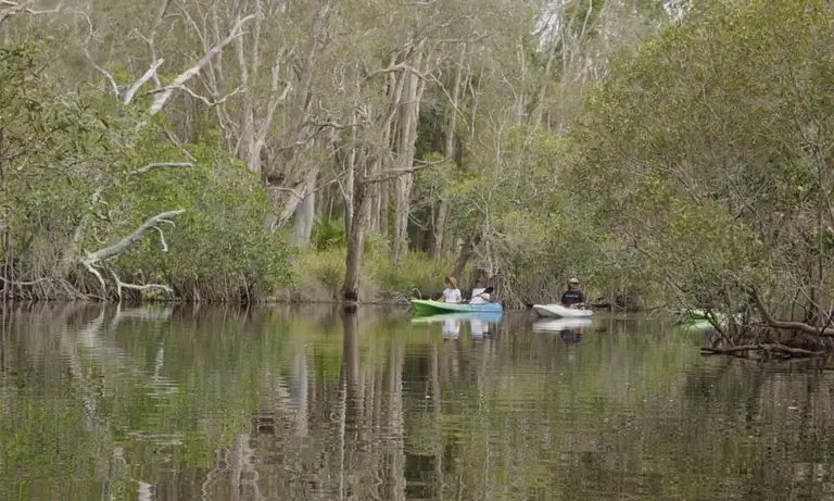 Lake Weyba Kayaking Adventure