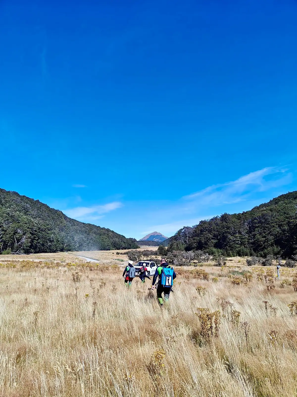 Glenorchy Paradise Canyoning Full Day Adventure in New Zealand