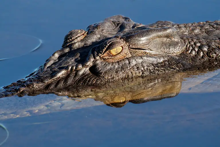 Kakadu in a Day Flight Tour