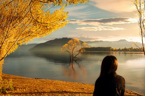 Mt Cook Day Tour via Wānaka from Queenstown