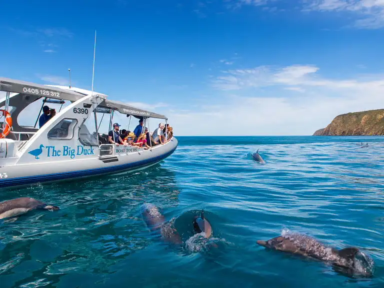Victor Harbour cruise deals