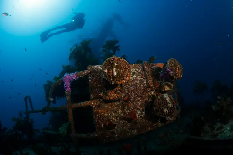 Canterbury dive deals