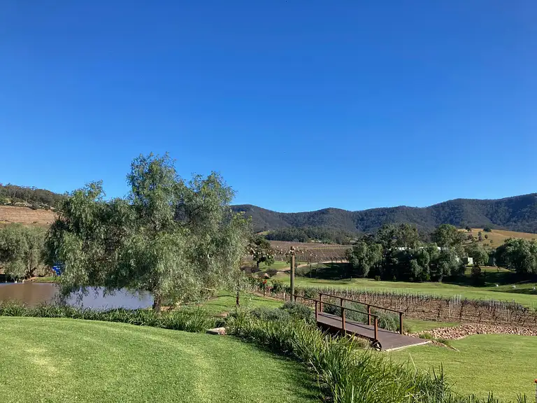Helicopter Picnic Among the Vines Discount