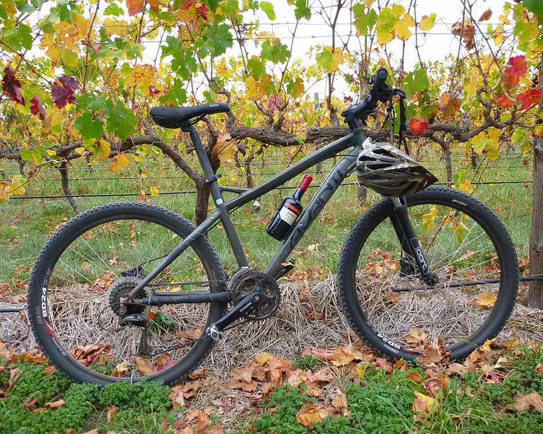 Hills, Vines and Wines by mountain bike adventure