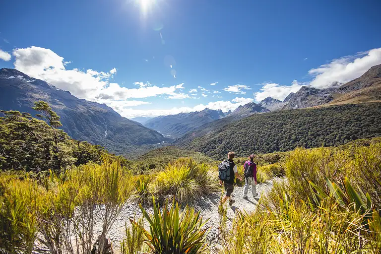 Routeburn track guided walk