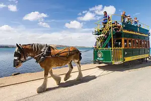 Full Day Victor Harbor & Hahndorf Tour with Lunch