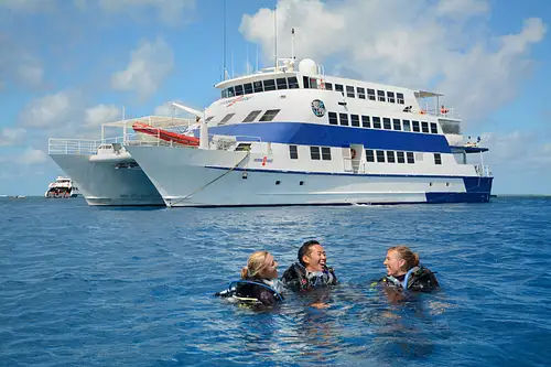 5-Day PADI Open Water Course with 2-Night Great Barrier Reef Liveaboard