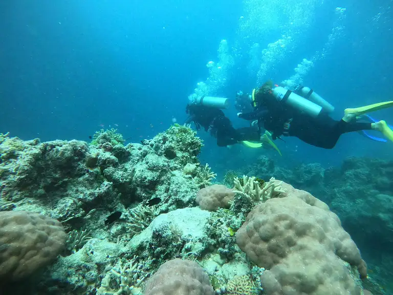 Snorkel SV Summer Jo Whitsundays