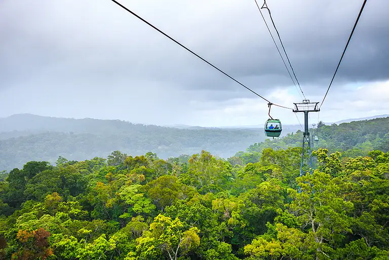 Daintree Rainforest Cairns tour