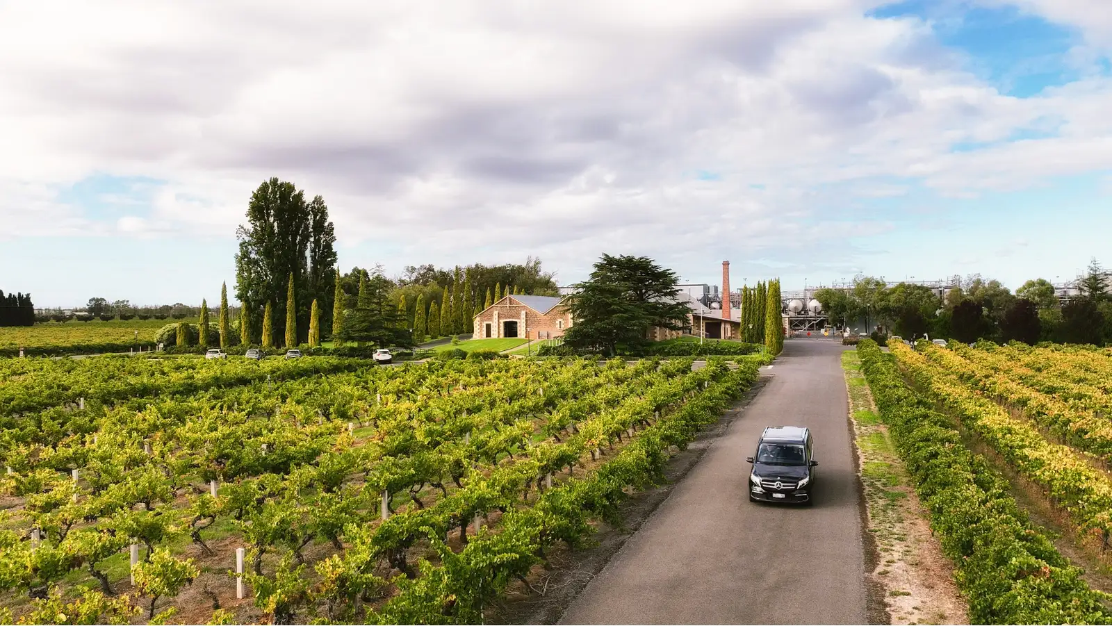 South Australia wine tours