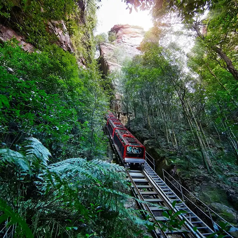 Blue Mountain Tour