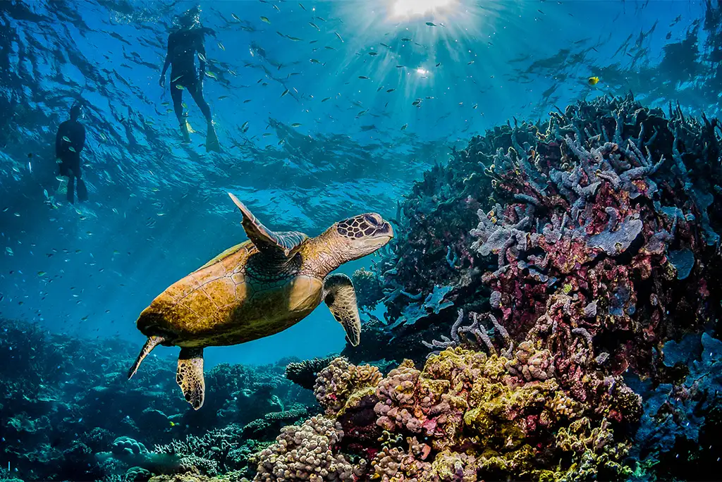 Great Barrier Reef