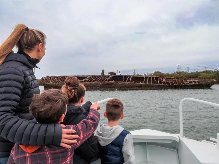 Port River Dolphin Cruise  Discount