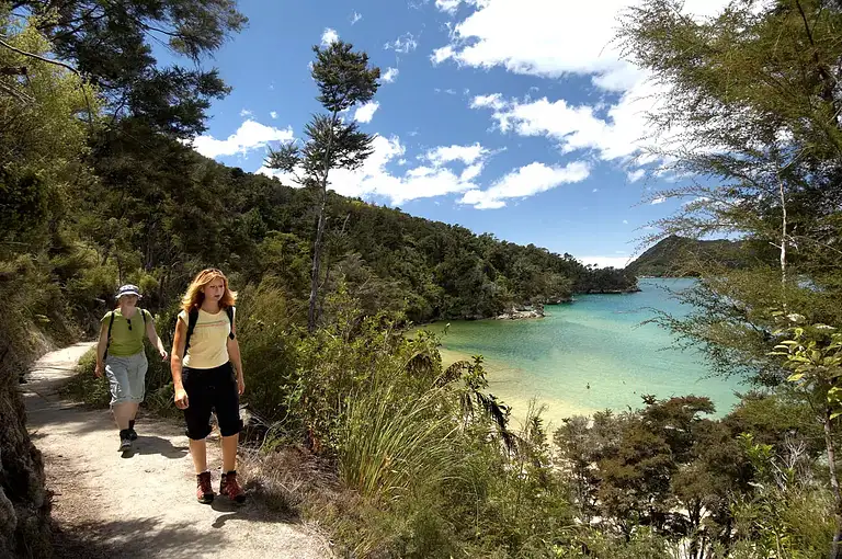 Full-Day Abel Tasman National Park Kayak & Coastal Walk Adventure