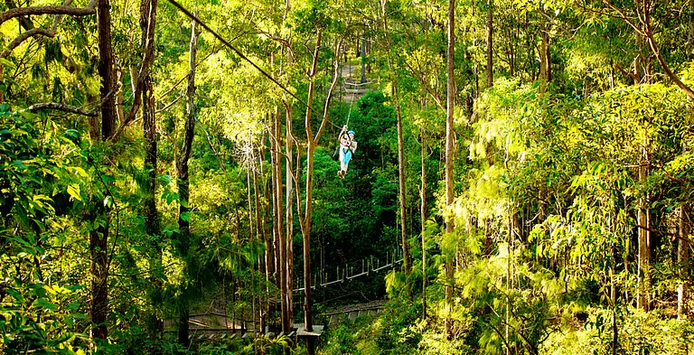 Mt Tamborine Adventure Park