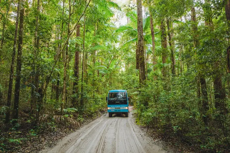 Fraser Island tour