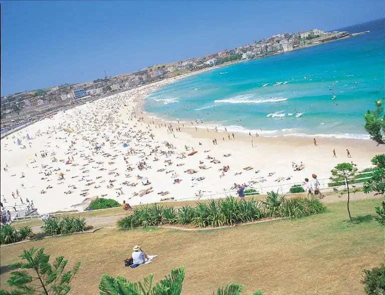 Bondi tour Sydaney