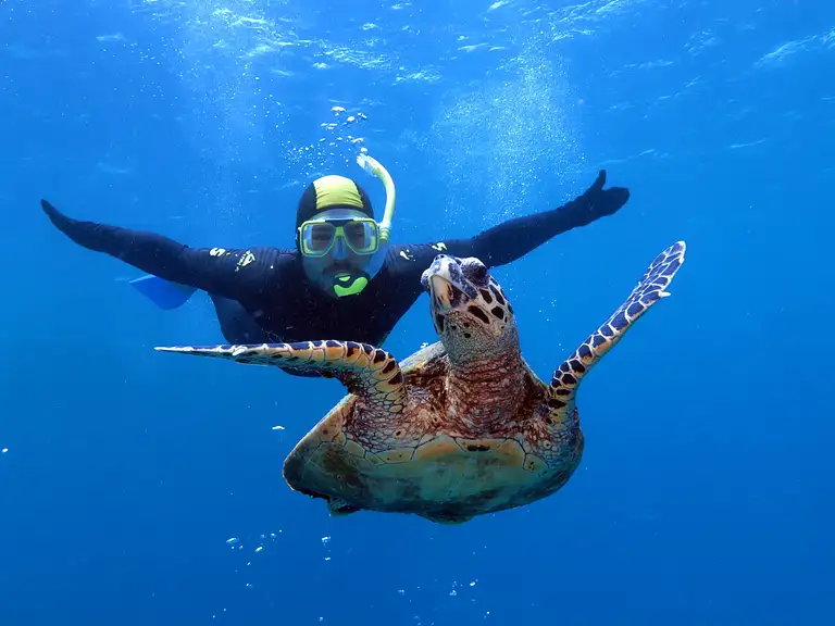 Pos turtle 8 jan20.jpg