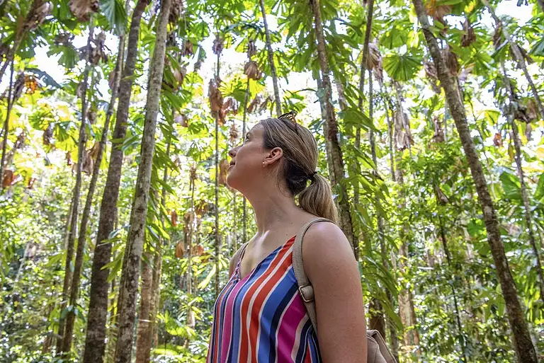 Daintree & Cape Tribulation Adventure Discount
