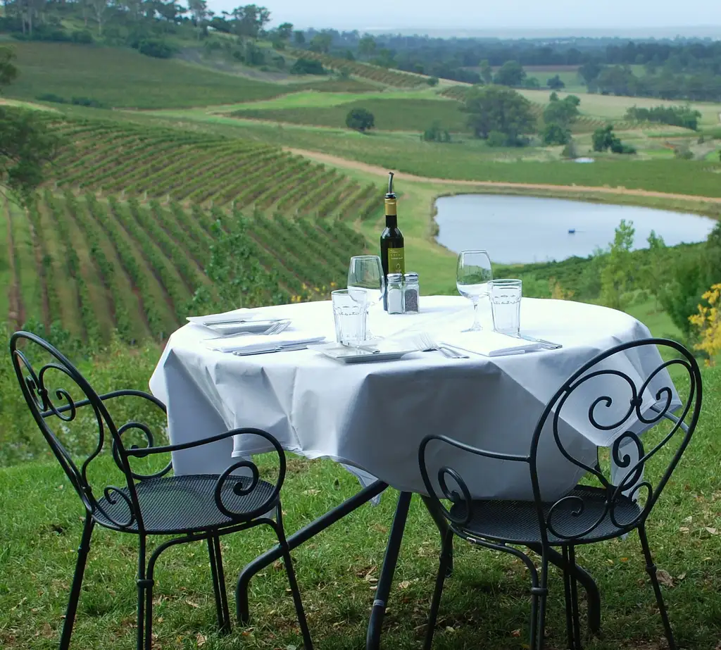 Hunter Valley scenic flight