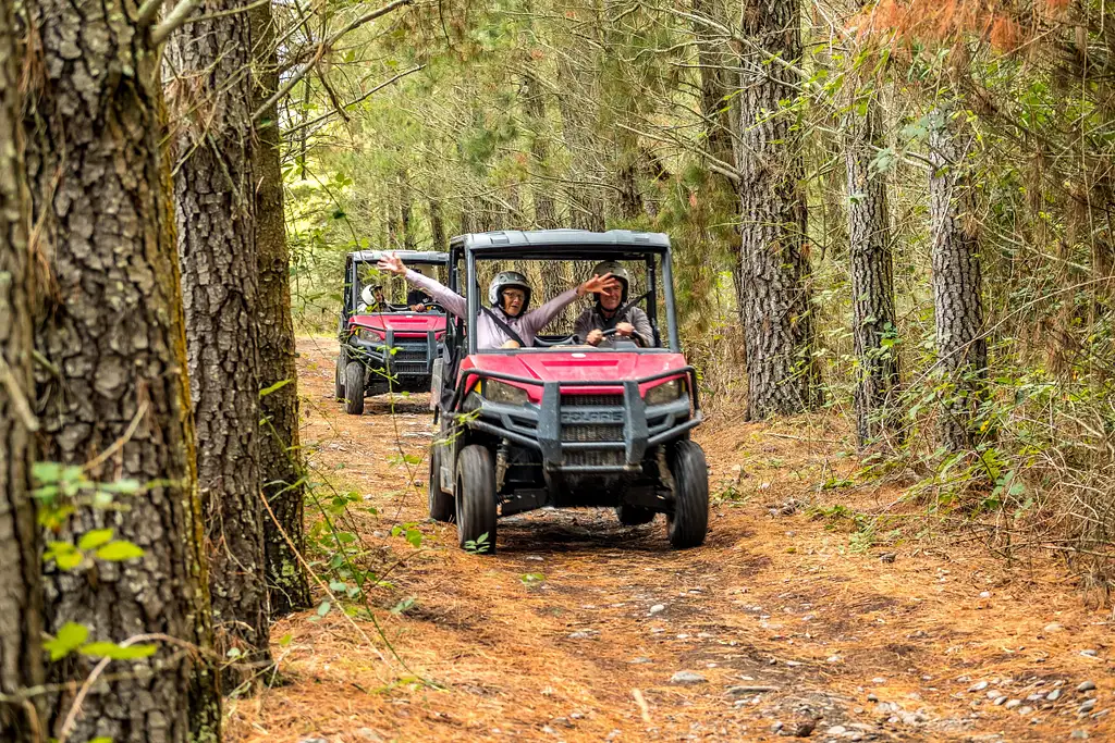 Hanmer Springs Off Road Buggy: 2-Seat vehicle