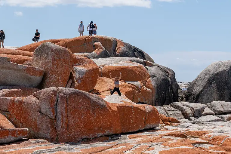 Tasmania tours