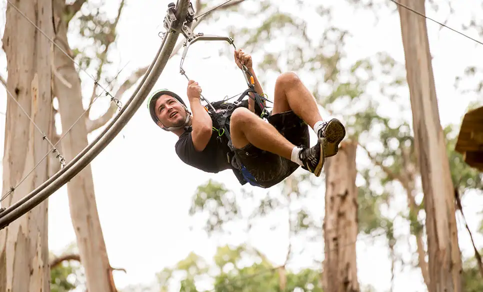 Surf Coast & Lorne Zipline Tour Discount