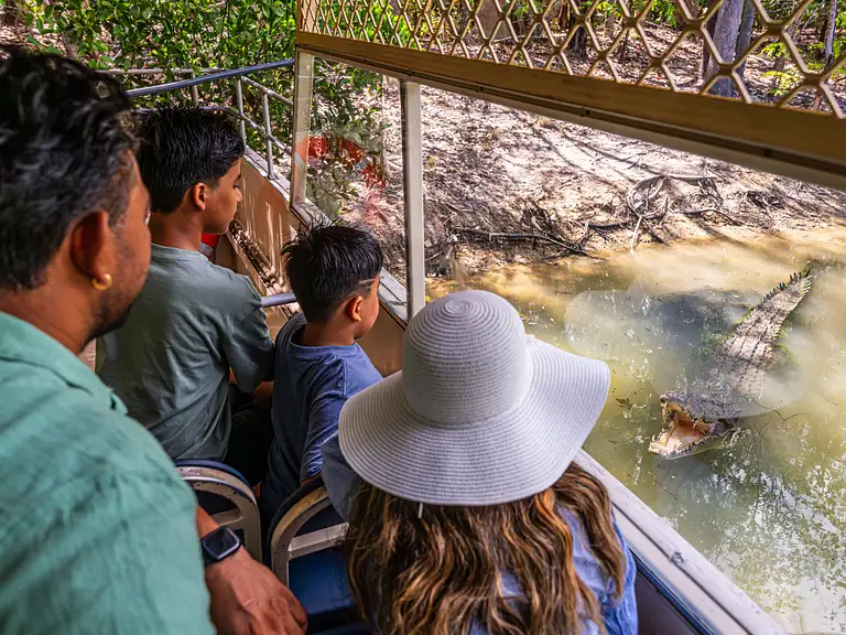 Hartley’s Crocodile Adventures Wetlands Cruise