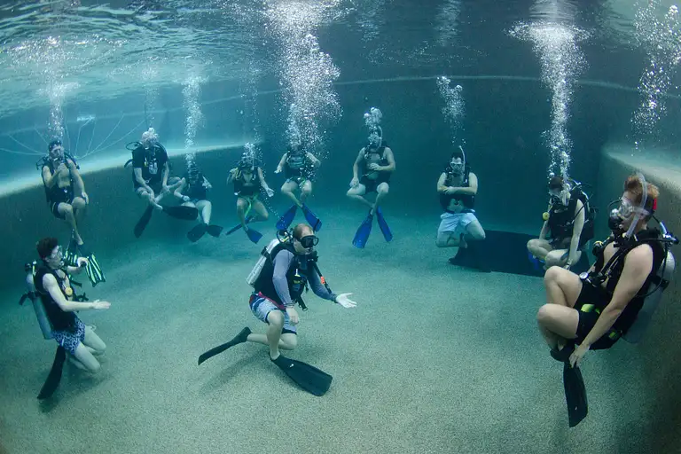 Cairns-Scuba-Diving-120.jpeg