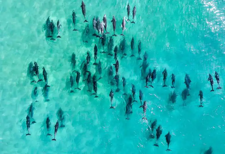Cairns helicopter tour deal