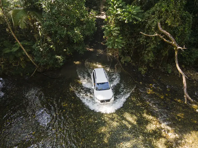 Full Day Cooktown And Daintree Tour