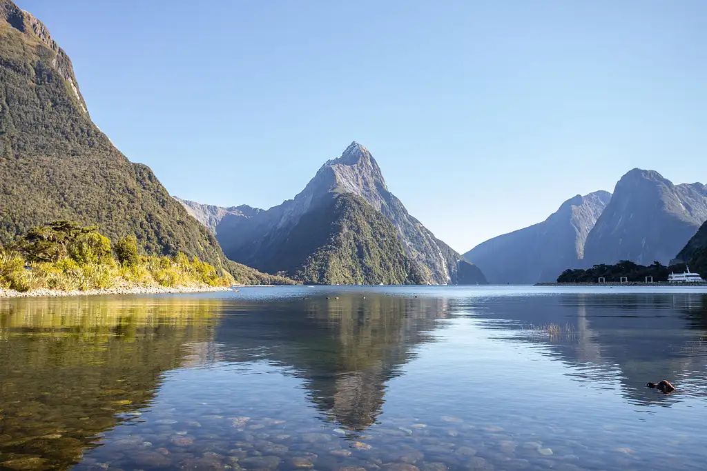 Luxury Milford Sound Tour from Queenstown