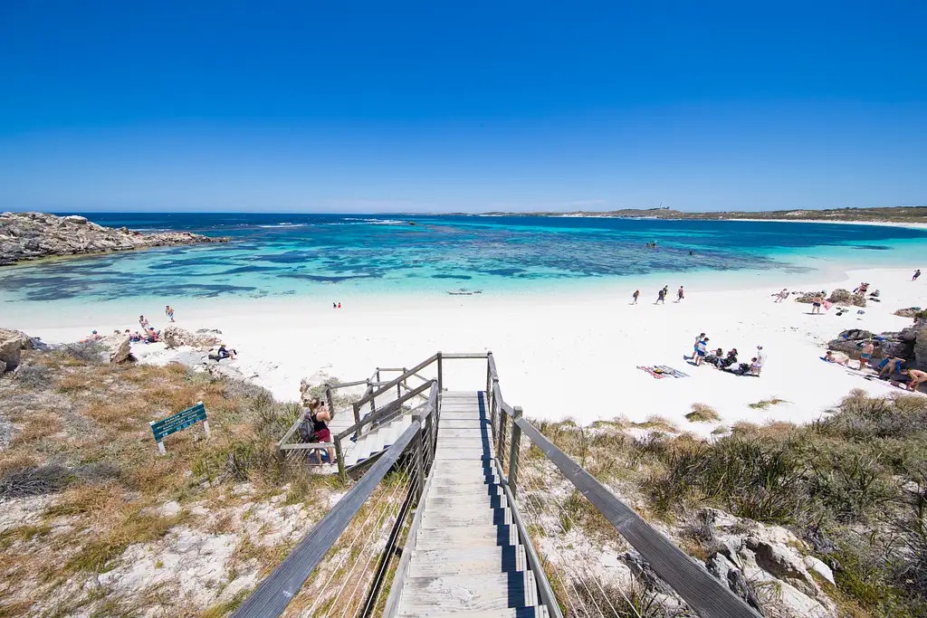 rottnest island day trip