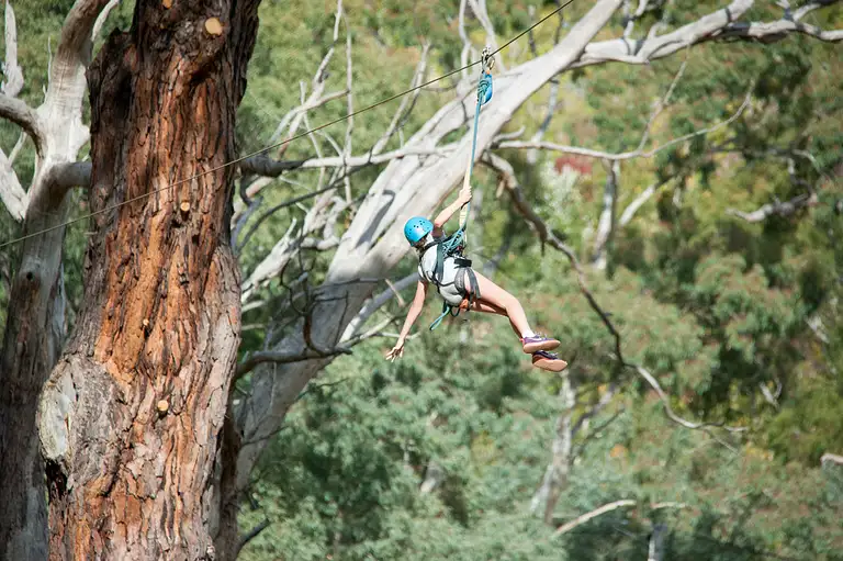 Mount Lofty Adventure Hub Rock Climbing & Zipline Experience