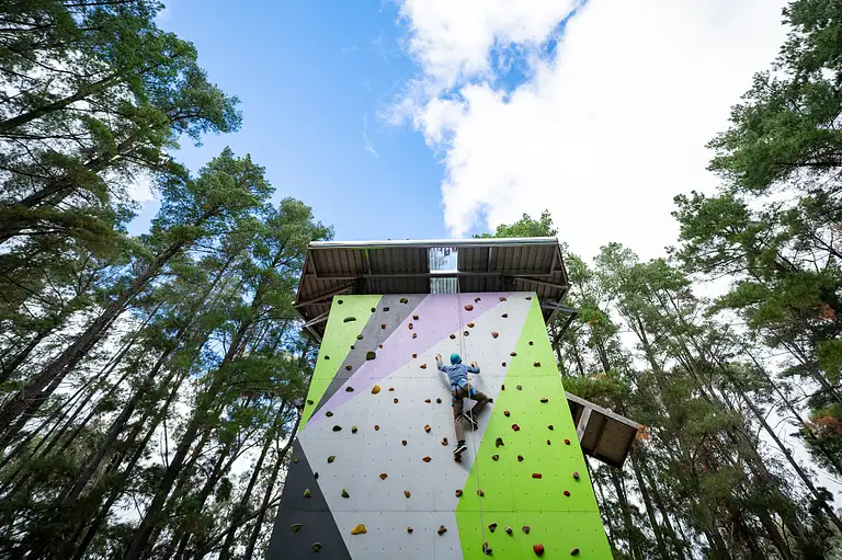 Southern Adventure Hub Rock Climbing Experience